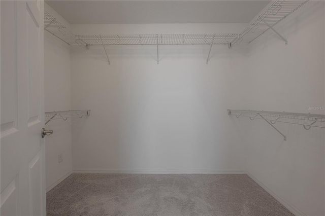 19326 LONG LAKE RANCH BOULEVARD, Lutz, FL 33558