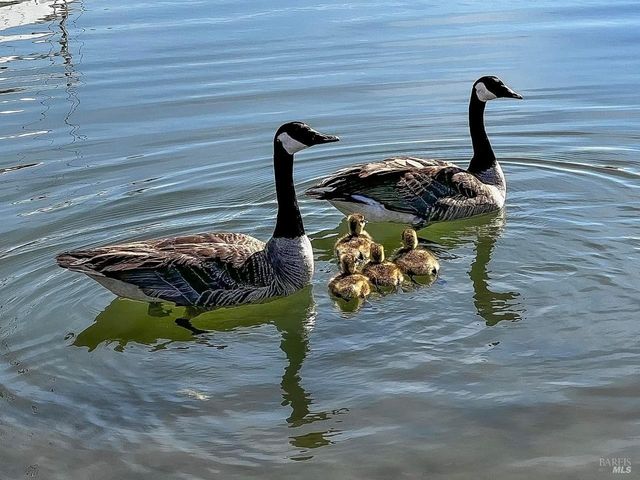 124 Montego Key, Novato, CA 94949