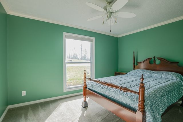 2743 Mouse Tail Rd, Parsons, TN 38363