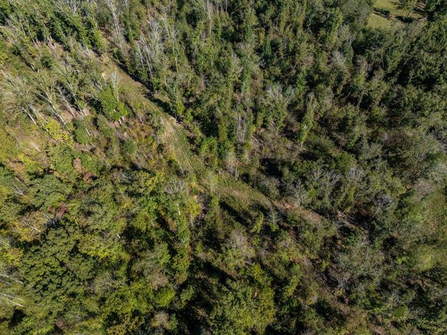 2743 Mouse Tail Rd, Parsons, TN 38363