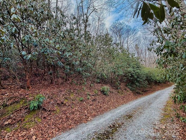 00 Lazy Bear Trail 35-36, Hendersonville, NC 28792