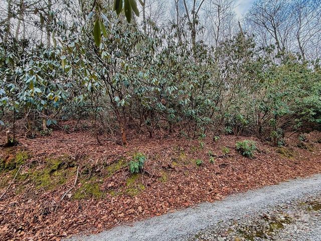 00 Lazy Bear Trail 35-36, Hendersonville, NC 28792