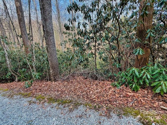 00 Lazy Bear Trail 35-36, Hendersonville, NC 28792