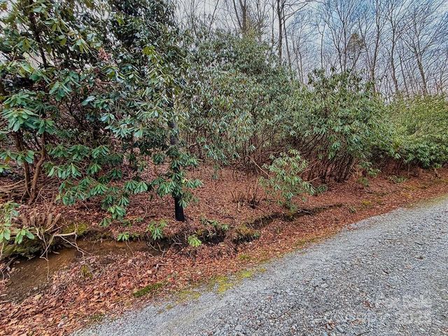 00 Lazy Bear Trail 35-36, Hendersonville, NC 28792