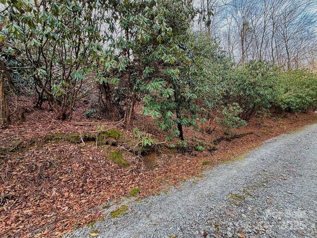 00 Lazy Bear Trail 35-36, Hendersonville, NC 28792