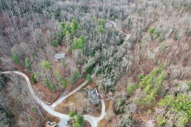 00 Lazy Bear Trail 35-36, Hendersonville, NC 28792