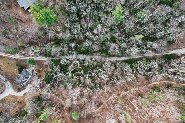 00 Lazy Bear Trail 35-36, Hendersonville, NC 28792