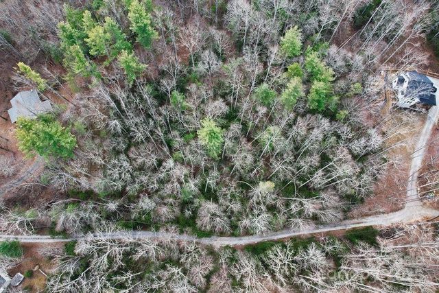 00 Lazy Bear Trail 35-36, Hendersonville, NC 28792