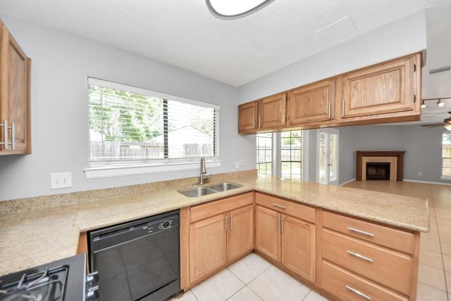 16006 Autumn Falls Lane, Houston, TX 77095
