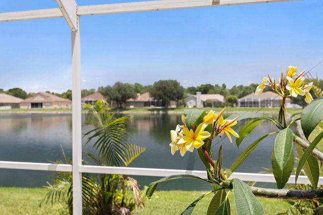 22953 BAY CEDAR DRIVE, Land O Lakes, FL 34639