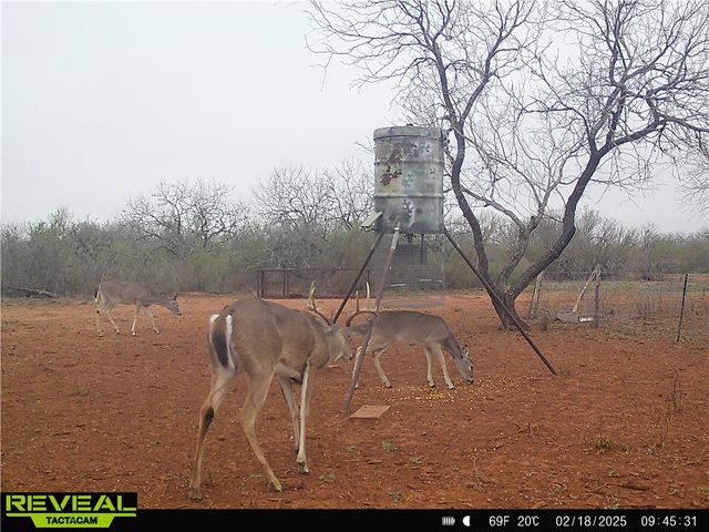 0 CR 145 & CR 173, Alice, TX 78332