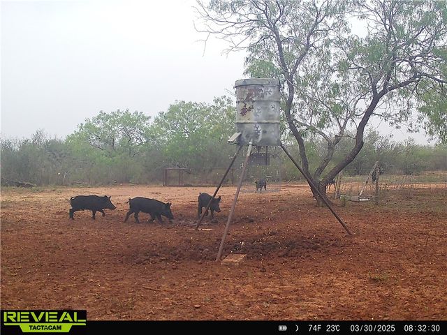 0 CR 145 & CR 173, Alice, TX 78332