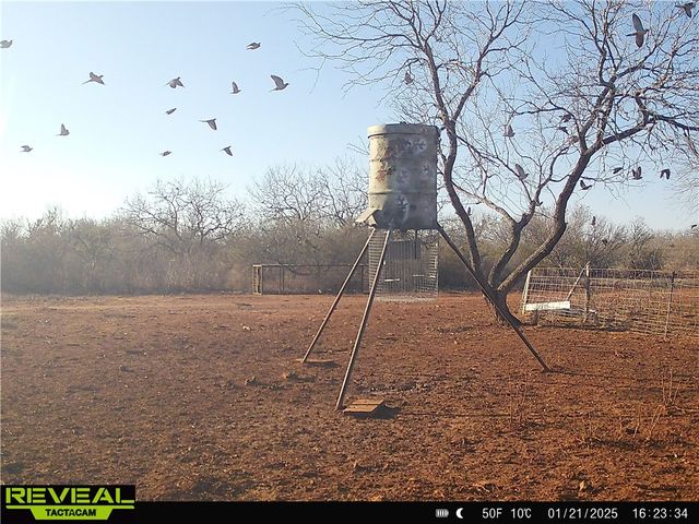 0 CR 145 & CR 173, Alice, TX 78332