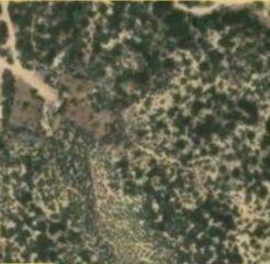 0 Dickson Hills Road, Anza, CA 92539
