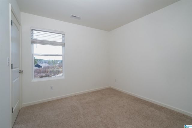 207 CHELSEA PARK CIRCLE, Chelsea, AL 35043