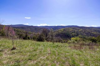 Off JOLLETT RD, Elkton, VA 22827