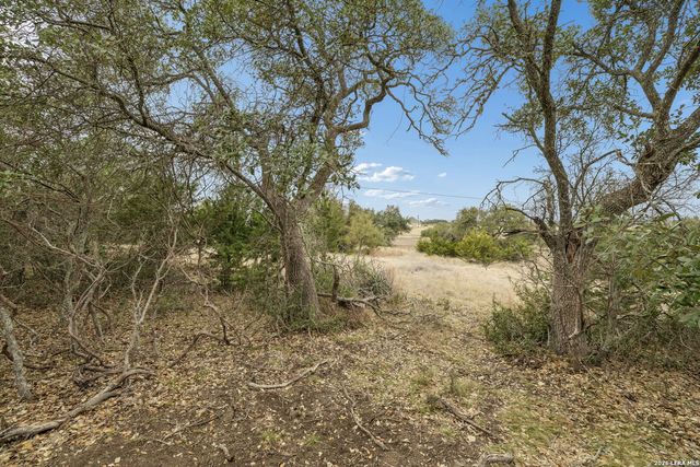 132 W Pat Dolan, Blanco, TX 78606