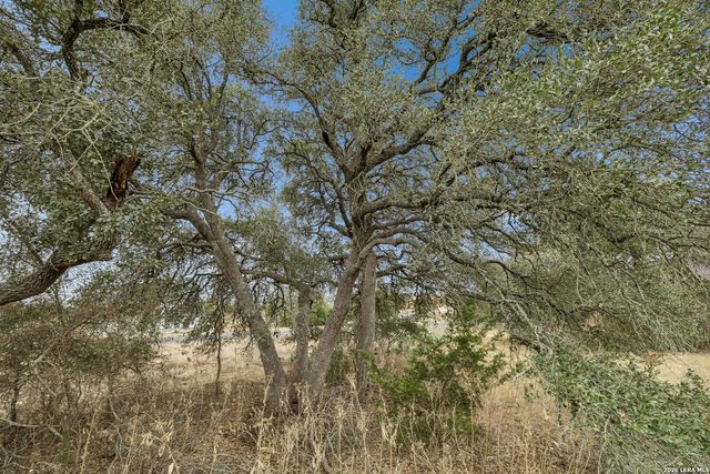 132 W Pat Dolan, Blanco, TX 78606