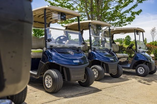 1328 Reynard Dr, Gallatin, TN 37066