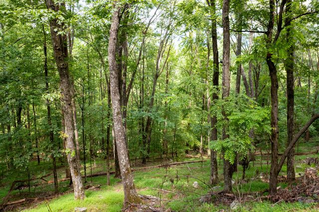 LT M177 Walnut Ridge, Ellijay, GA 30536