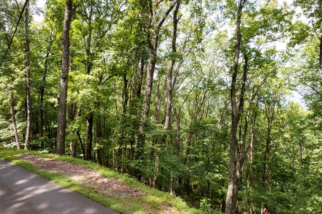 LT M177 Walnut Ridge, Ellijay, GA 30536