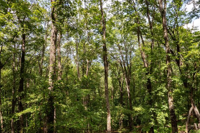 LT M177 Walnut Ridge, Ellijay, GA 30536