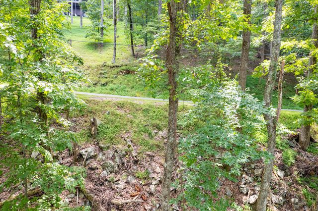 LT M177 Walnut Ridge, Ellijay, GA 30536