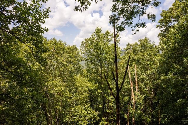LT M177 Walnut Ridge, Ellijay, GA 30536