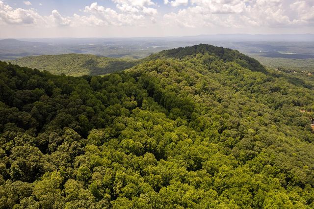 LT M177 Walnut Ridge, Ellijay, GA 30536