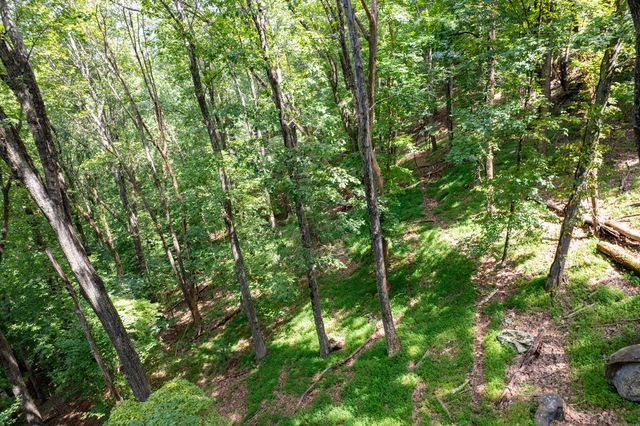 LT M177 Walnut Ridge, Ellijay, GA 30536