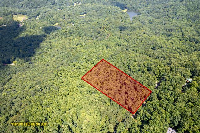 LT M177 Walnut Ridge, Ellijay, GA 30536