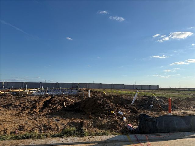 29211 Dandelion Sky Drive, Waller, TX 77484