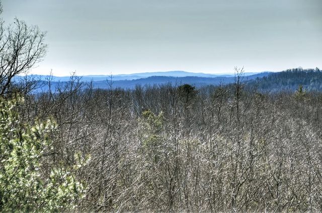 470 Gobbler Knob Drive, Ellijay, GA 30540