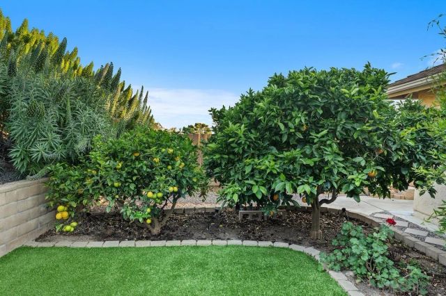 2953 Courser Ave, San Diego, CA 92117