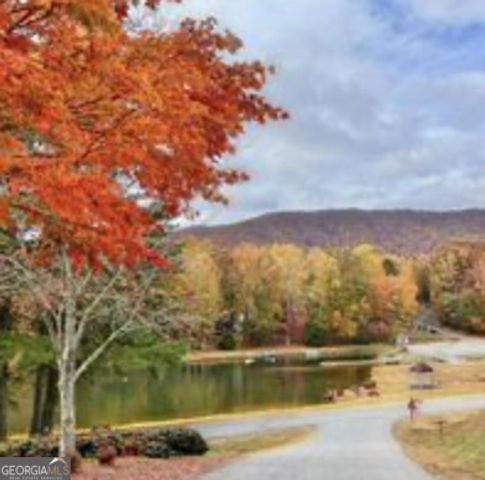 35 Canyon Pass, Cleveland, GA 30528
