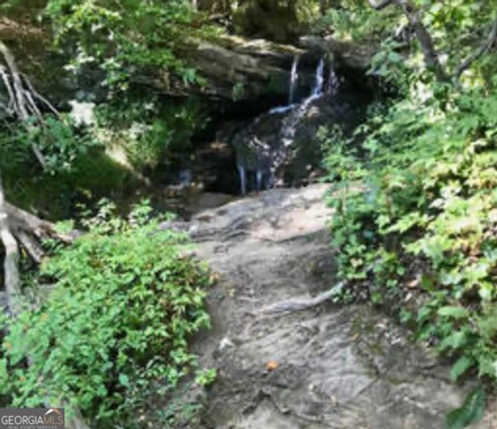 35 Canyon Pass, Cleveland, GA 30528