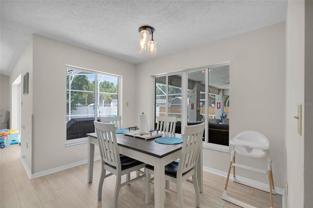 3007 DUPONT STREET, Eustis, FL 32726