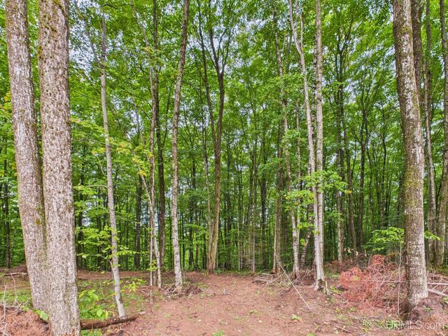 6909 N Connors Road, Munising, MI 49862