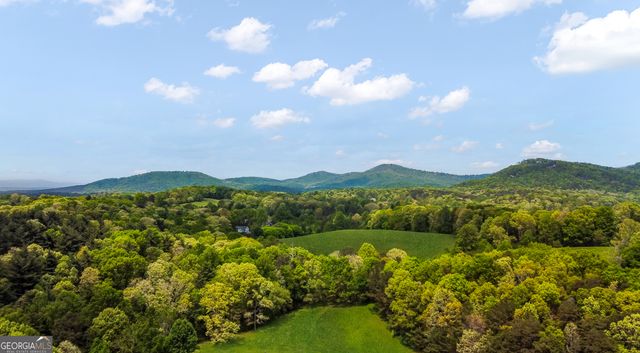 233 Ivy Ridge, Ellijay, GA 30536