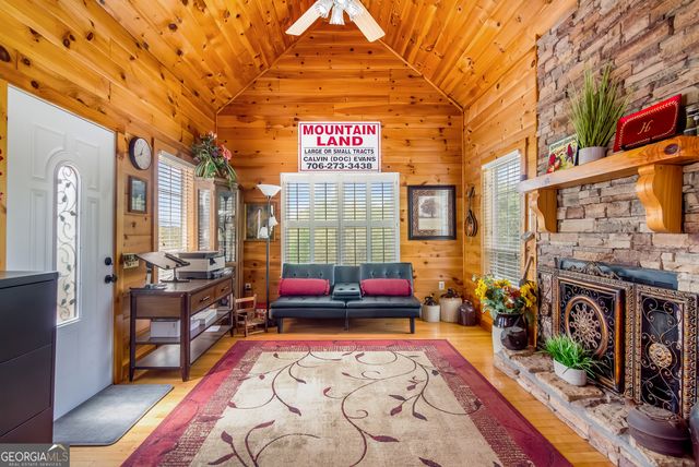 233 Ivy Ridge, Ellijay, GA 30536