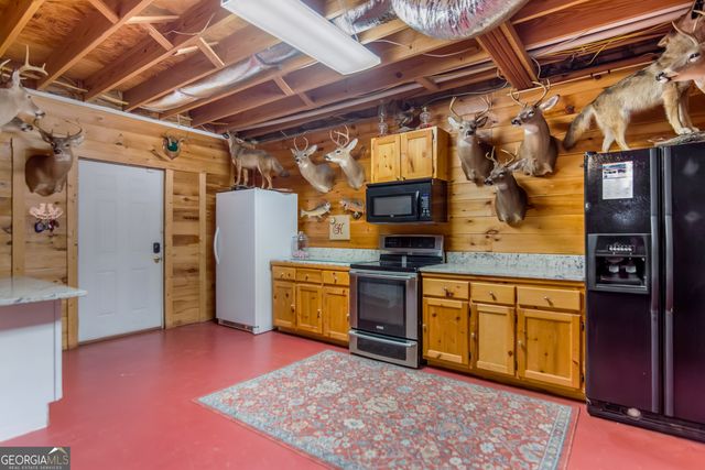 233 Ivy Ridge, Ellijay, GA 30536