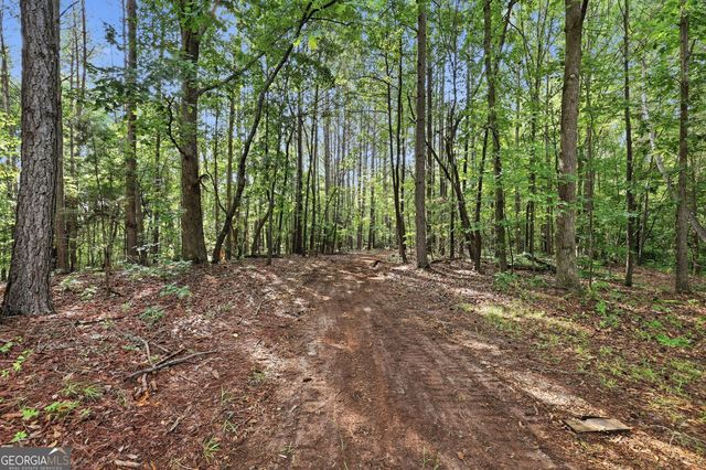 65 Watson Road, Martin, GA 30557