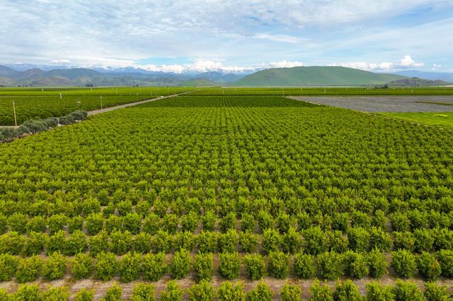 15725 Avenue 376, Visalia, CA 93292