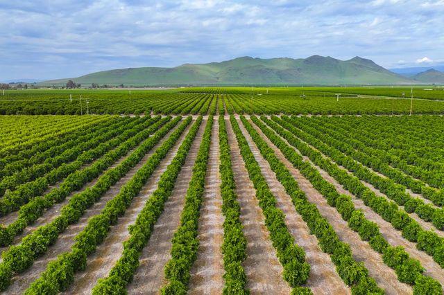 15725 Avenue 376, Visalia, CA 93292