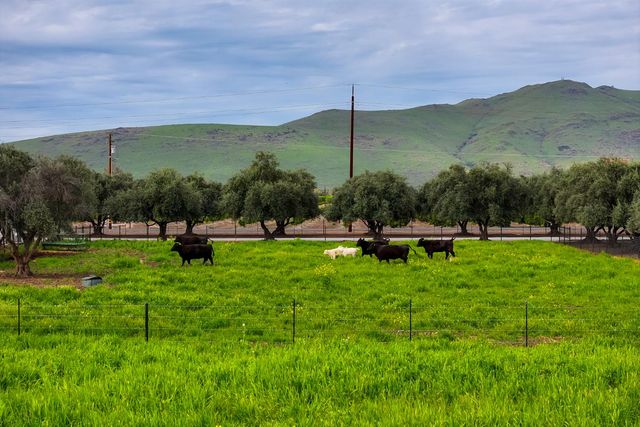 15725 Avenue 376, Visalia, CA 93292