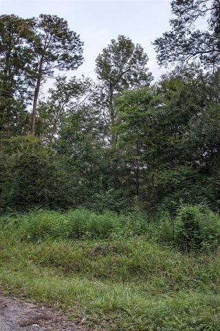 TBD North Essex Drive, Conroe, TX 77302