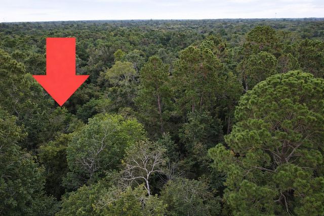 TBD North Essex Drive, Conroe, TX 77302
