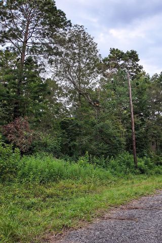 TBD North Essex Drive, Conroe, TX 77302