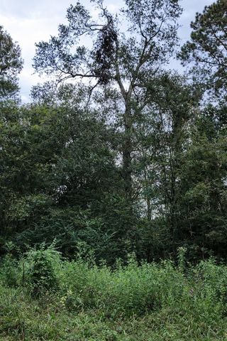 TBD North Essex Drive, Conroe, TX 77302