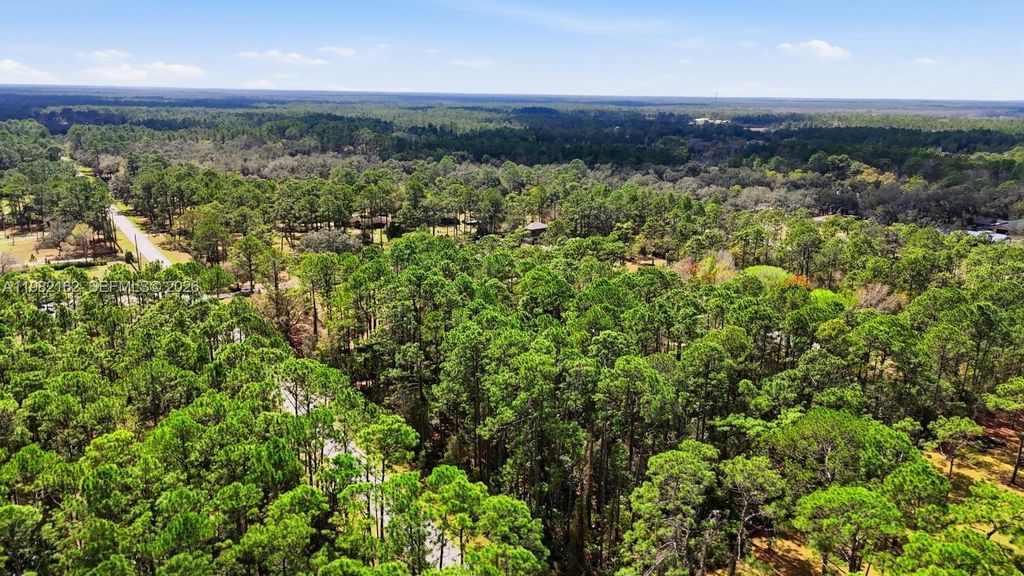 Image 38 of property listing at 158 CONE ROAD, Ormond Beach, FL 32174